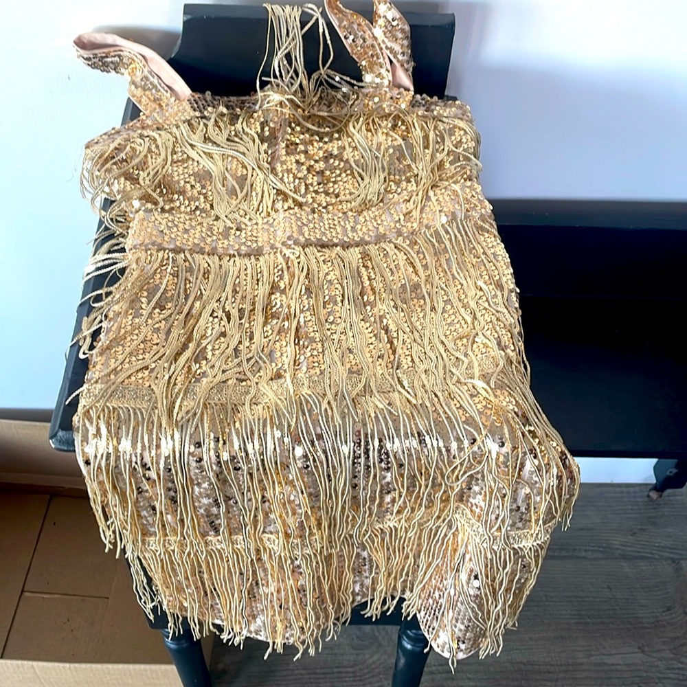 Brand New! Gorgeous Gold fringe and sequin Dress